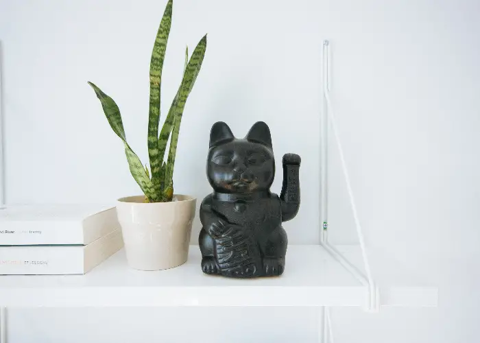 Placing Lucky Cat Feng Shui: Enhance Luck and Prosperity in Your Home or Office